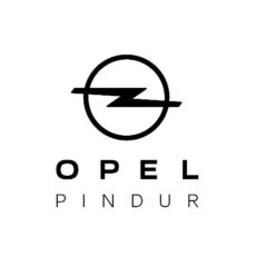 logo-pindur